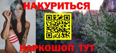 гидропоника Сланцы