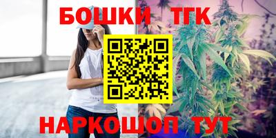 гидропоника Сланцы